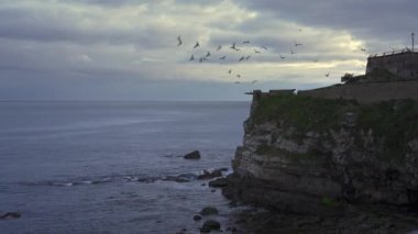 Gijon, Asturias açıklarında gün batımında Martılar Cantabrian Denizi 'ndeki bir uçurumdan uçuyorlar.