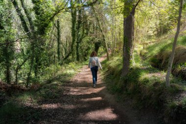 Anento, Zaragoza 'da orman bitkileri arasında geriye doğru yürüyen bir kadın.