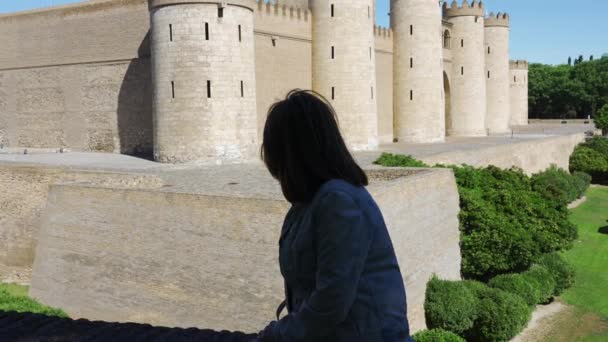 一位背对着阿拉贡政府在萨拉戈萨的城堡所在地的女游客 — 图库视频影像