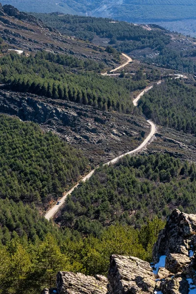 Estrada Montanha Que Corre Entre Vales Pinheiros Sierra Del Rincon — Fotografia de Stock