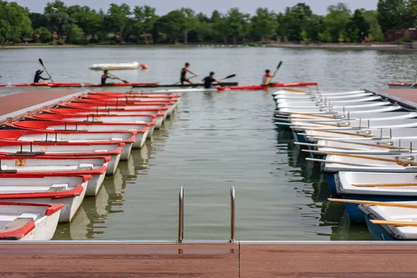 stock image Canoes and rowing boats to play sports and enjoy rowing in the Casa de Campo in Madrid