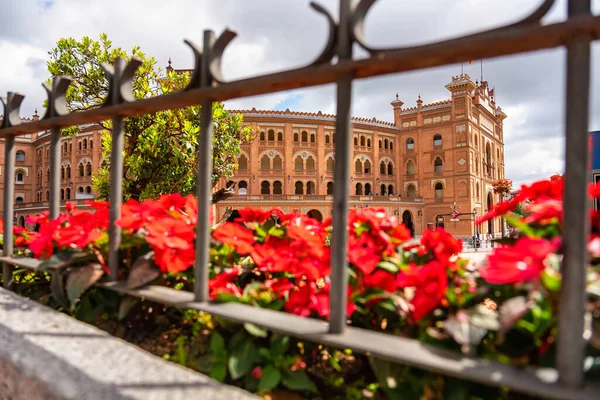 Röda Blommor Trädgården Bredvid Tjurfäktningsarenan Las Ventas Madrid — Stockfoto