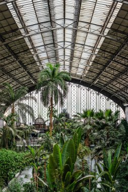 Madrids 'in içi. Atocha tren istasyonu. Bir serada tropikal bahçesi var.