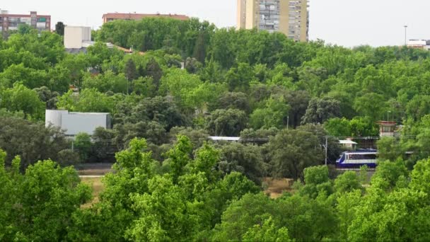 Ein Pendlerzug Durch Den Pinienwald Der Casa Campo Madrid — Stockvideo