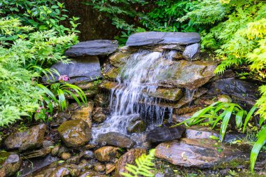 Japon tarzı bahçedeki yeşil bitkiler ve taşların üzerine dökülen akarsu.