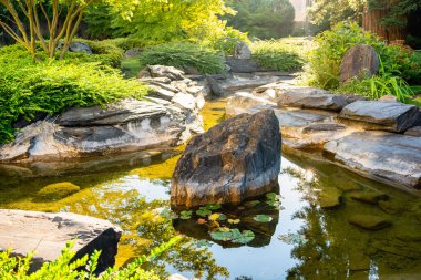 Japon tarzı bir bahçede, koyu taşların arasındaki tatlı su göleti.