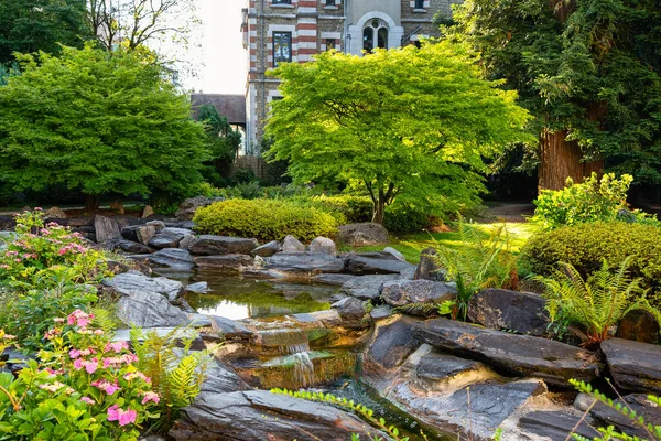 Jardim Estilo Japonês Com Plantas Árvores Douradas Pela Luz Solar — Fotografia de Stock