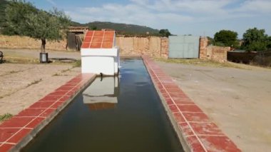 İHA, İspanya 'daki bir köyde ineklere su vermek için çeşmenin üzerinden uçuyor.