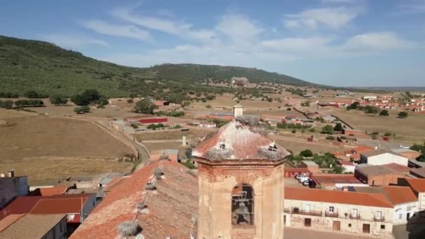 Dron Letící Poblíž Kostelní Zvonice Plné Čápích Hnízd Ciudad Real — Stock video