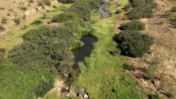 Сухое Русло Реки Изменения Климата Равнинах Сьюдад Реал Испании — стоковое видео