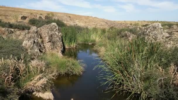 干ばつのためにスペイン中央部で雨の不足のために非常に少ない水で川 — ストック動画