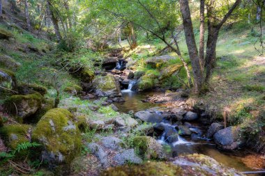 Şafak vakti kayaların arasına düşen tatlı su ile Encandado Ormanı manzarası, Guadarrama, Madrid