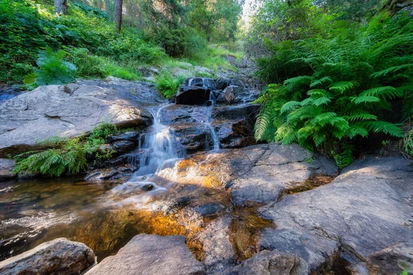 Sierra Guadarrama Madrid Spanya Daki Büyülü Bir Ormanın Taşlarının Arasına — Stok fotoğraf