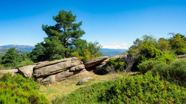 Sierra de Guadarrama, Madrid, İspanya 'da mavi gökyüzü olan yeşil dağ manzarası