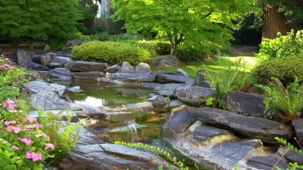 Jardín Japonés Estilo Zen Con Arroyo Grandes Piedras Donde Agua — Vídeos de Stock