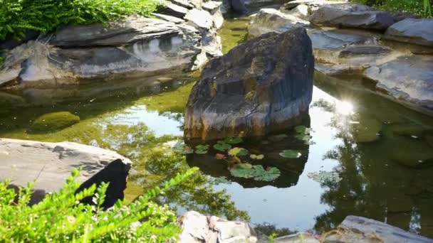 Jardín Japonés Estilo Zen Con Arroyo Grandes Piedras Donde Agua — Vídeos de Stock