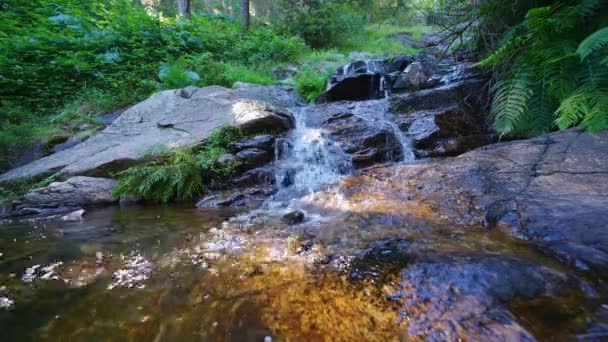 Cascada Agua Pura Que Cae Entre Las Rocas Bosque Encantado — Vídeos de Stock
