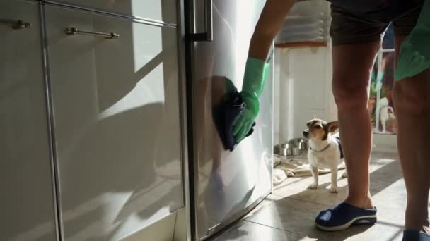 Mulher Fazendo Tarefas Limpeza Cozinha Enquanto Pequeno Cão Observa — Vídeo de Stock