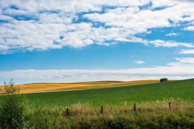 İskoçya 'nın doğu kıyısında mavi gökyüzü ve bulutlu yeşil çayır, İngiltere