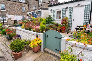 Footdee Sweep, Aberdeen, İskoçya 'da parlak renkli bitkileri ve süslemeleri olan balıkçıların evleri
