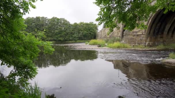 Skoçya Nın Aberdeen Şehrindeki Dee Nehri Üzerindeki Ortaçağ Taş Köprüsü — Stok video