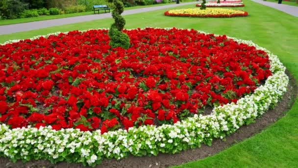 Vacker Trädgård Dekorerad Med Blommor Många Färger Grönt Gräs Ängar — Stockvideo