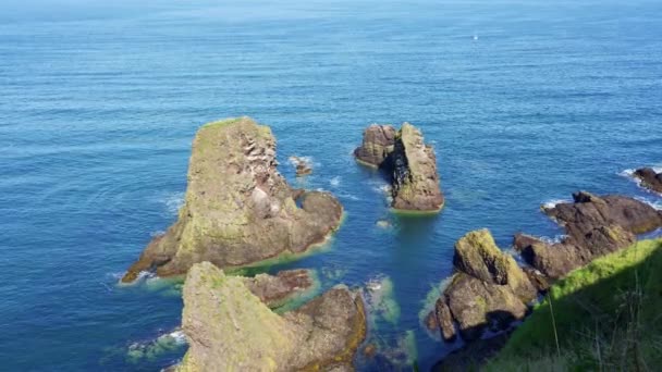 Rocas Que Surgen Del Mar Los Acantilados Costa Este Escocia — Vídeos de Stock