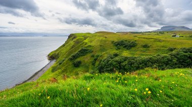 İskoçya 'nın Skye Adası' nda çiçeklerle dolu yeşil çayırları olan çarpıcı uçurumlar.