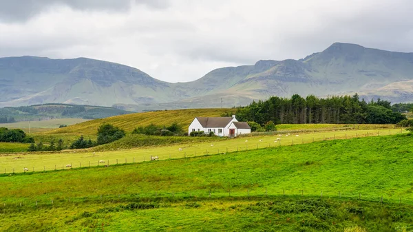 Paisaje Verde Montañas Con Granjas Ovejas Isla Skye Escocia — Foto de Stock