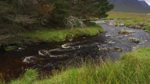 Río Agua Limpia Que Desciende Las Altas Montañas Del Verde — Vídeo de stock