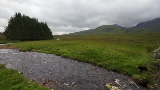 緑のグレンコエバレー ハイランド スコットランドの高山から下って来るきれいな水の川 — ストック動画