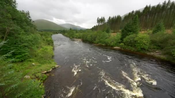 Large River Flows Green Meadows Tall Trees Glencoe Valley Scotland — Stock Video