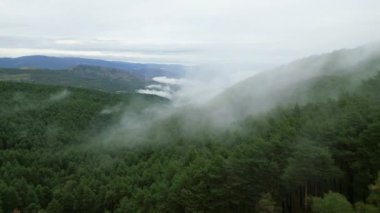 Madrid 'deki Sierra de Guadarrama' yı kaplayan ormanın üzerindeki alçak bulutlar