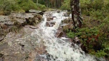 Madrid, Sierra de Guadarrama 'daki Akdeniz çam ormanında küçük şelaleler oluşturan nehir.