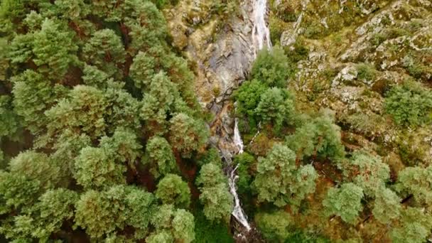 Великий Водоспад Падає Вершини Лісу Сьєрра Гуадаррама Мадриді — стокове відео
