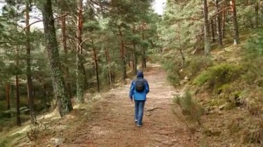 Sırt çantalı bir adam Sierra de Guadarrama, Madrid 'de orman yolunda yürüyor.
