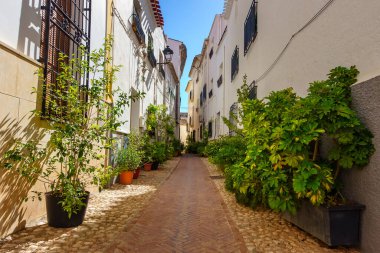 Caddenin her yerinde beyazlatılmış evler ve saksılarla dolu resim sokakları, Velez Rubio, Almerya