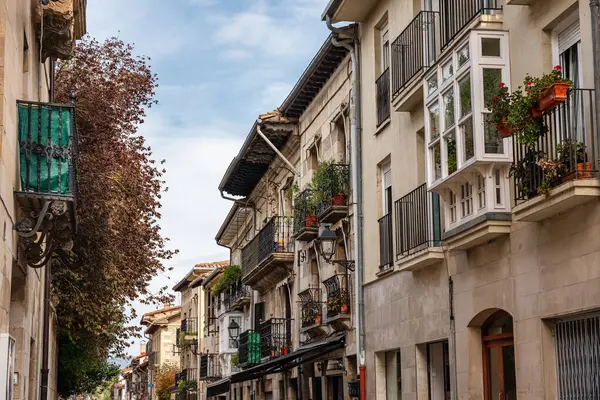 stock image Picturesque balconies with plants and flowers in an alley in the Basque village of Salvatierra, Spain