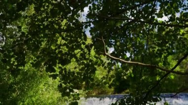 Sonbahar ormanlarındaki ağaçlar arasında dolaşan bir nehirden gelen şelale, Duraton, Segovia, İspanya