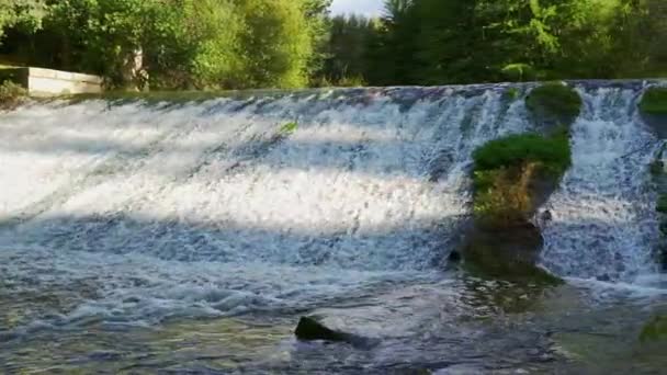 Wasserfall Aus Einem Fluss Der Zwischen Den Bäumen Herbstwald Zirkuliert — Stockvideo