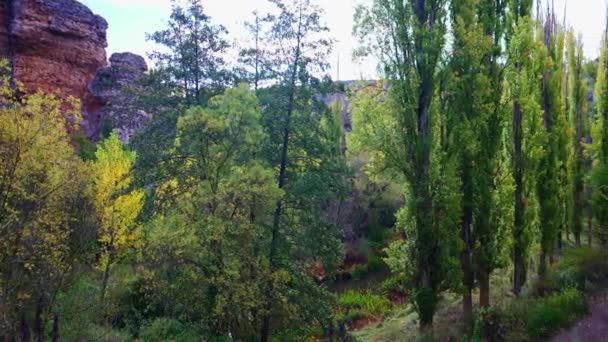 ハイキング セゴビア スペインの人々とトレイルを持つ背の高い木を持つゴールデンフォレスト — ストック動画