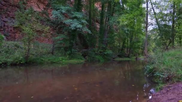 Χαλαρωτική Εικόνα Ενός Ποταμού Που Ρέει Ειρηνικά Ένα Φθινοπωρινό Δάσος — Αρχείο Βίντεο