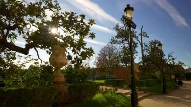 マドリードのアランジュエスの偉大な王室庭園への入り口 枝間の太陽とベンチと大きな木 — ストック動画