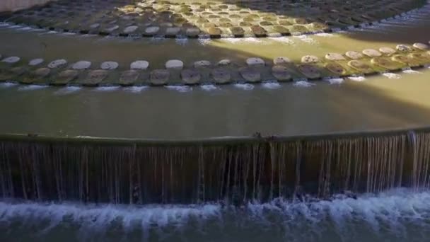 タガス川は 水を楽しむアランジュエスの観光街を通過するように マドリード — ストック動画
