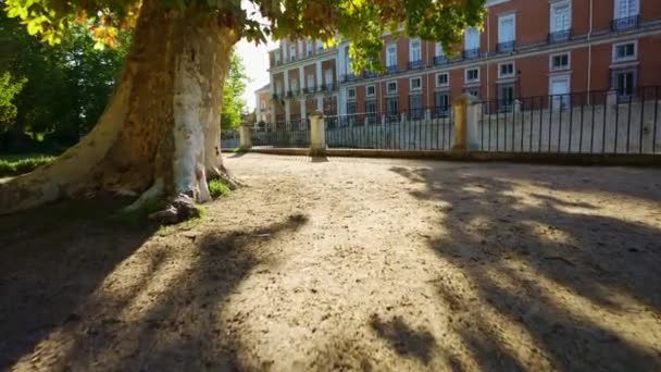 Enormes Árvores Junto Rio Tejo Palácio Real Aranjuez Madrid Espanha — Vídeo de Stock