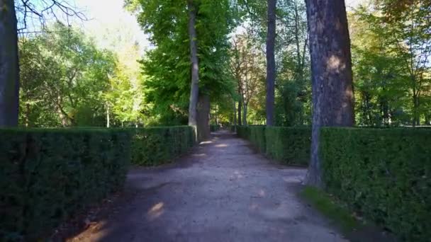 Cesty Velké Zahrady Aranjuez Bujnou Vegetací Vodními Fontánami Madrid — Stock video