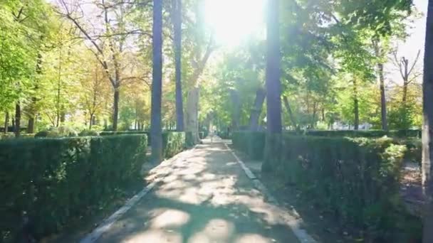 Senderos Los Grandes Jardines Aranjuez Con Exuberante Vegetación Fuentes Agua — Vídeos de Stock