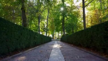 Madrid, Aranjuez 'in bahçelerinde çitlerle çevrili bir yolda geziniyor.