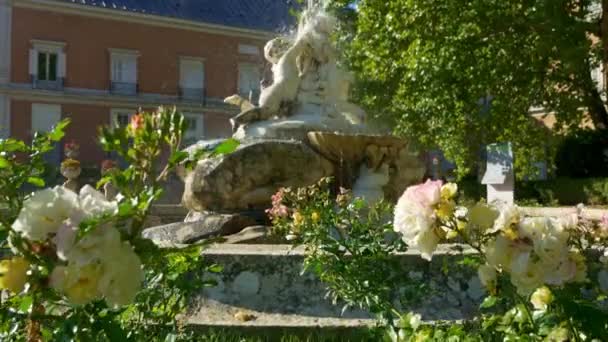 Lento Movimento Das Belas Fontes Nos Jardins Reais Palácio Aranjuez — Vídeo de Stock
