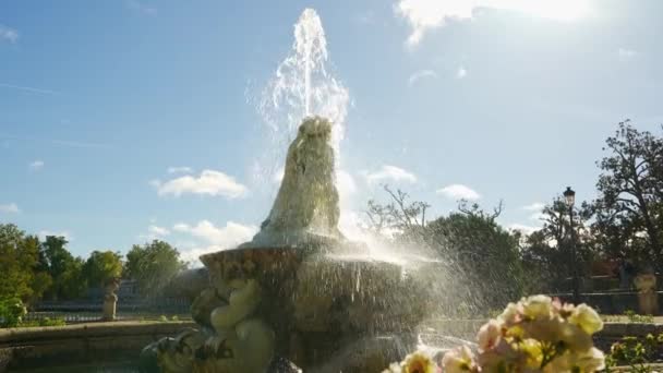 Αργοκίνηση Των Όμορφων Σιντριβανιών Στους Βασιλικούς Κήπους Του Παλατιού Του — Αρχείο Βίντεο
